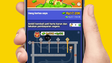 Cara Menggunakan Aplikasi Cool Lady Apk Agar Menghasilkan Uang!