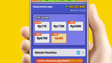 Fakta Game Cool Lady, Review Jujur, Cara Kerja, dan Syarat Penarikan yang Jarang Dibahas!