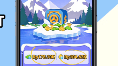 Cara Cairkan Dana Beku Cool Lady & Trik Nuyul Uang Hijau yang Banyak Tidak Tahu