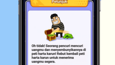 4 Cara Atasi Uang Dicuri di Game Cool Lady 100% Berhasil Cair Cepat ke Dana