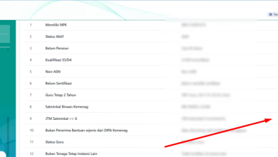 Cara Mengatasi JTM Tidak Terbaca di Pengajuan Tunjangan Insentif Emis GTK Dev 2026