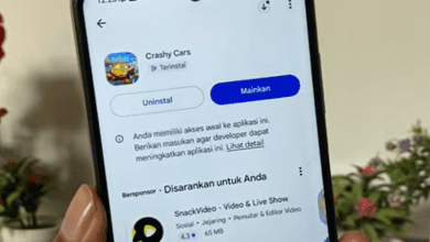 Review Crashy Cars Reward Iklan 100 Perak? Cek Fakta & Bukti Tarik ke DANA!
